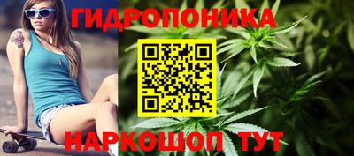 Альфа ПВП Заводоуковск