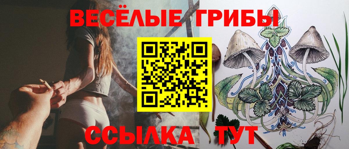 Михайловка  наркошоп  Вход с VPN  Псилоцибиновые грибы мицелий 